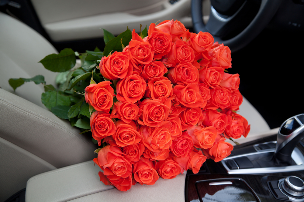 Valentine’s Day 2026 Date Ideas Near Hagerstown, MD