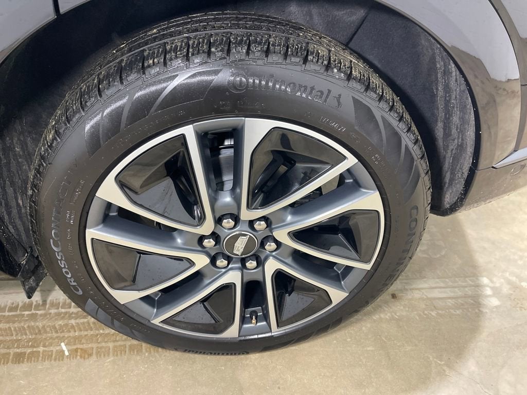 2025 Cadillac OPTIQ Sport 1