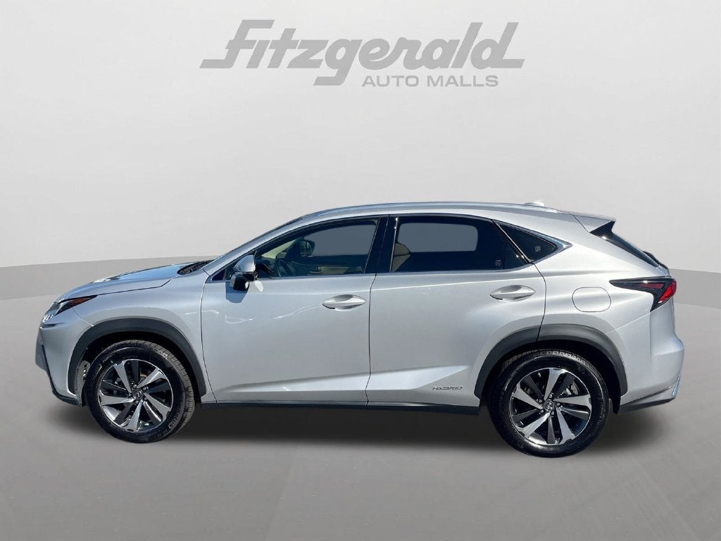 2019 Lexus NX NX 300h