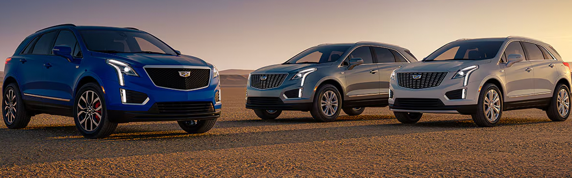 Three Cadillac SUVs parked on a scenic overlook at sunset.