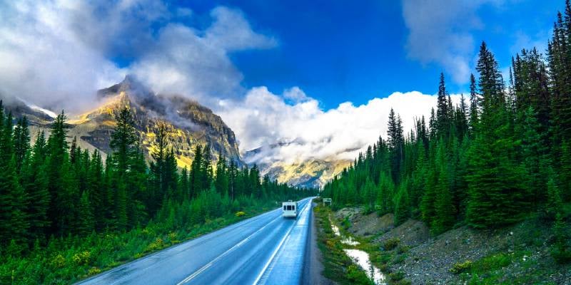 stunning view of a trees and mountains